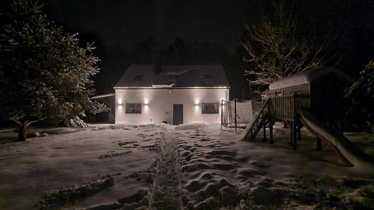 Sasinko Sasino